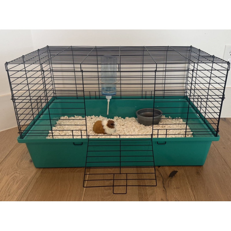 Cage pour petit animal 30 po x 20 po