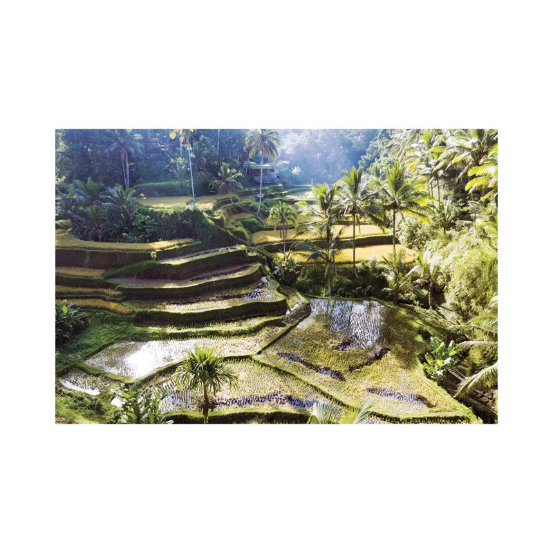 Rice Terraces Of Bali II by Matteo Colombo - Gallery-Wrapped Canvas Giclée on Canvas, 66.04 cm H x 45.72 cm W x 1.91 cm D
