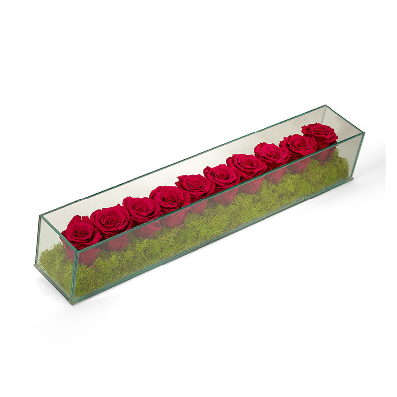 Floraison en pot, Fuchsia