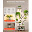8-Tier Lighted Indoor Plant Stand With Grow Lights, Tree-Shaped Metal Display Rack For Living Room And Balcony Decor