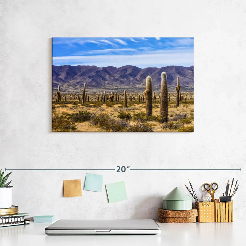 Harnek Los Cardones Cactus, 8" H x 12" W