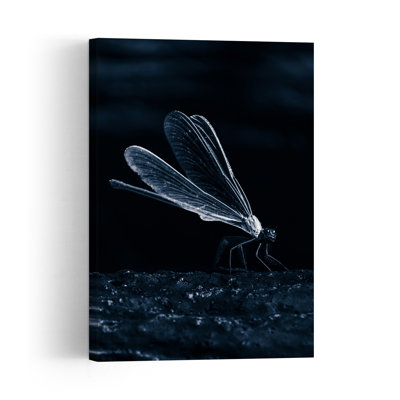 Dark Dragonfly Wings Dramatic Elegant Ethereal Dragonfly Nature Wildlife Wall Art Print 1 Piece Wrapped Canvas Wall Art