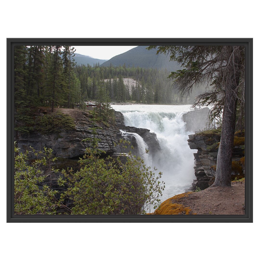 Gerahmtes Wandbild WasserfälleWald