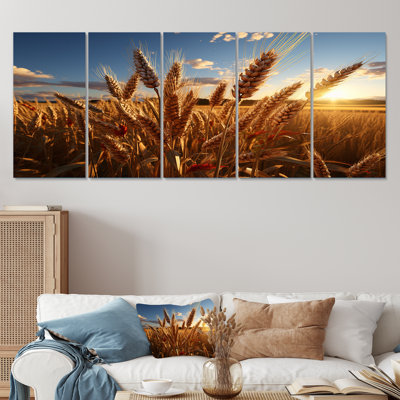 Golden Harvest Meadow Horizon III - Meadow 5 Piece Wall Art Set
