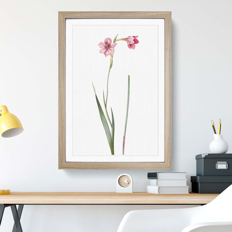 Pink Sword Lily by Pierre-Joseph Redoute - Picture Frame Painting Print, 36cm H x 27cm W x 2cm D, Oak Framed