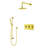 BathSelect Gold Wall-Mount Round Rainfall Shower Head – Modern Brass Shower Fixture