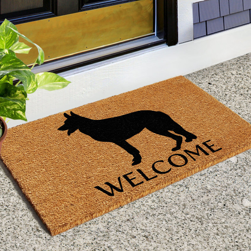 Regner Non-Slip Outdoor Doormat, 2' x 3'