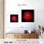 Marguerite rouge vif Arney-109221265