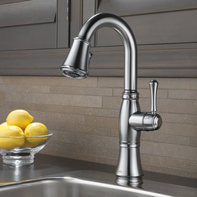 Cassidy Bar Faucet with Pull Down Sprayer