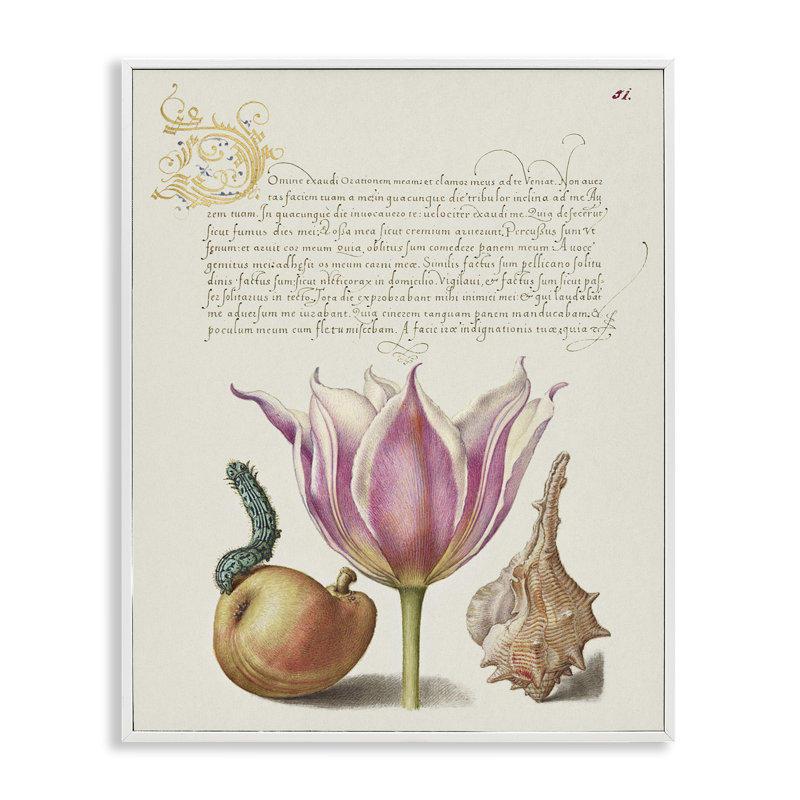 «Flower & Bug Study», estampe numérique par June Erica Vess, Estampe numérique encadrée blanc bord de mer, H 14 po x l 11 po