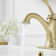 Single-Hole Single-handle Bathroom Faucet with Drain Assembly