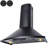 30-in Convertible 343 CFM Stainless Steel Wall Mount Range Hood with Carbon Filter-61552505