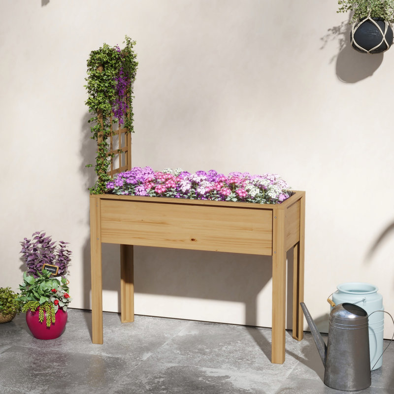 Lit de jardin surélevé d'extérieur en bois avec treillis pour plantes grimpantes
