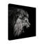 «Roaring Lion 2» par Christian Meermann - reproduction de photo sur toile tendue-763270747