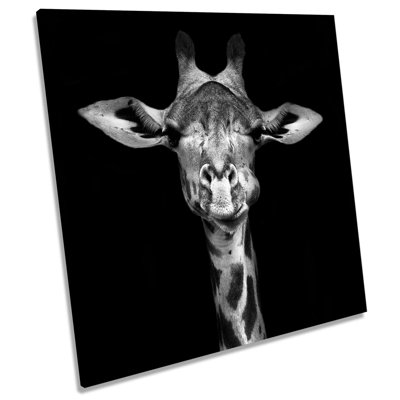Z1611 Giraffe Face - Wrapped Canvas Painting