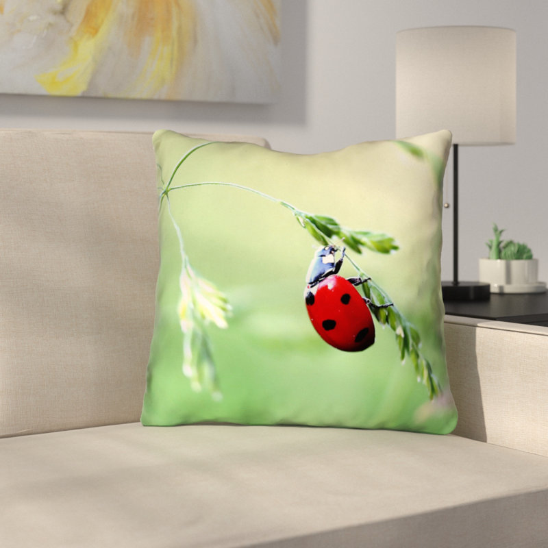 Coussin décoratif à imprimé double face Myriam  Ladybug, 14 po x 14 po