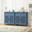 2 Door 2 Drawer Cabinet-728199188