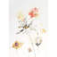 Watercolor Flowers III Print by Chelsea Art Studio-26929411-26929410