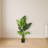 Travelers Palm Artificial Tree