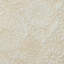 Siberian Tiger Square Pillow Cover & Insert