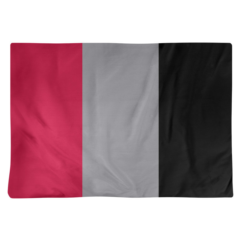 Récapitulatif 18" basket Toronto, Rouge / argent / noir, Sergé de coton