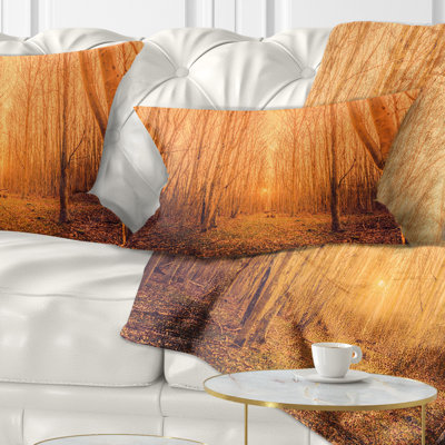 Coussin décoratif à l’intérieur de la forêt avec des grands arbres paysager