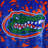 NCAA Knitted Throw Blanket-25193626