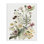 Subtle Spring Blossoms Wrapped Canvas Print