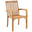 Ashdown Teak Wood Outdoor Arm Chair