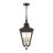 3 - Light Outdoor Hanging Lantern-561386868