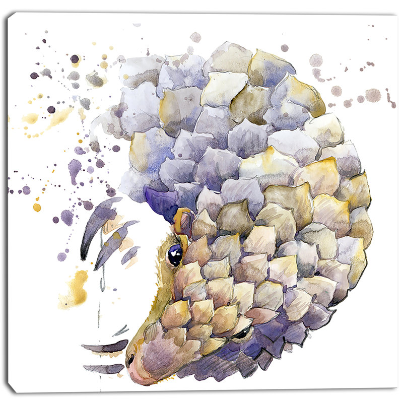 Armadillo illustration, impression sur toile tendue, H 30 po x l 30 po