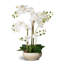 Silk Orchid Arrangement In Pot-823644236