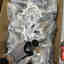 Customer photo 1 of 4