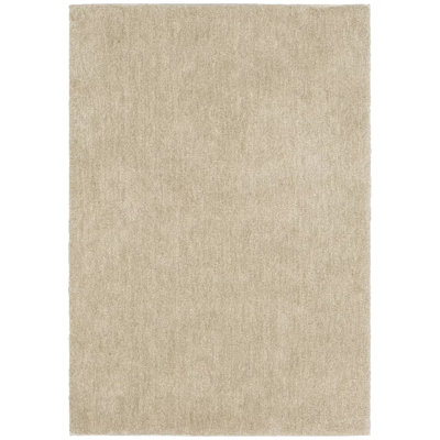 Indoor Rug