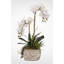 Orchid Faux Floral Arrangement in Pot