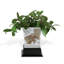 Pot à fleur en porcelaine Chow