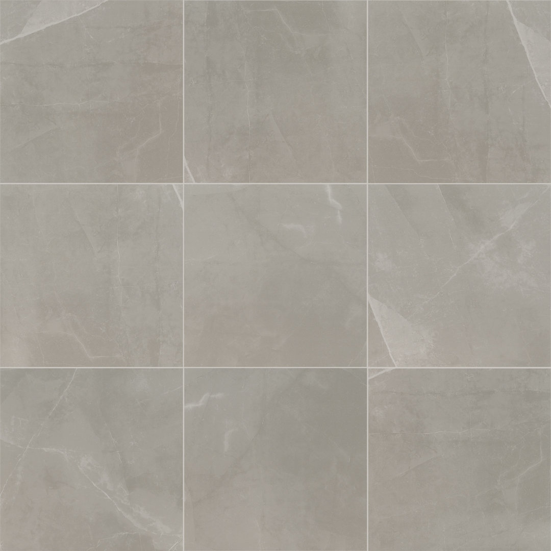 Sonoma 24 in. x 24 in. Matte Porcelain Stone Look Floor and Wall Tile Ackland 