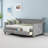 Storage Twin Size Daybed with 2 Large Drawers & X-Shaped Solid Wood Frame - Modern Rustic Style - Gray-1669309948