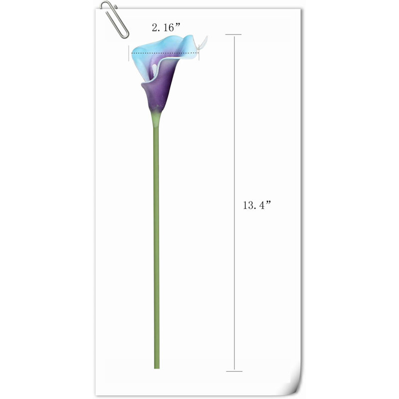 20 pièces de fleurs de lys Calla, Mauve bleu