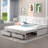 Juritza Daybed-1904929550