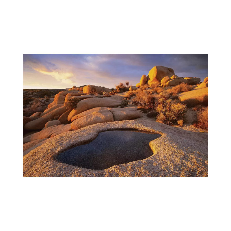 Water That Has Collected In Boulder, Joshua Tree National Park, California by Tim Fitzharris - No Frame Gallery-Wrapped Canvas Giclée on Canvas