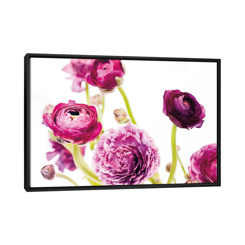 « spring renoncule iv », impression sur toile tendue, H 8 po x l 12 po x P 0,75 po, Toile tendue, Pas de tapis