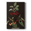 Brookshaw Cherries - galerie sur mesure-1789718996