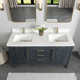 Langosta 60'' Free Standing Double Bathroom Vanity with Top