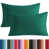 Vert foncé