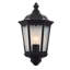 Shanghai 44cm H Outdoor Wall Lantern