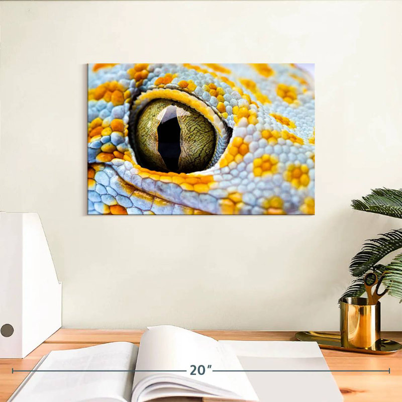 Brampt Gecko Eye