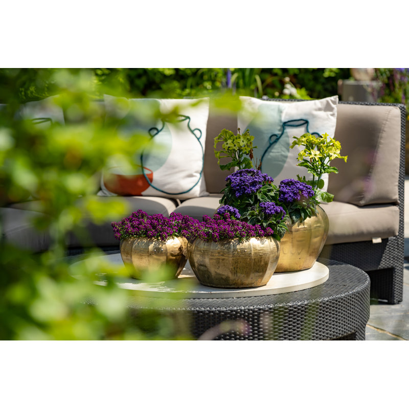 Dorn Metal Pot Planter