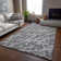 Premium Machine Washable Cerrito AMF501 Charcoal Rug