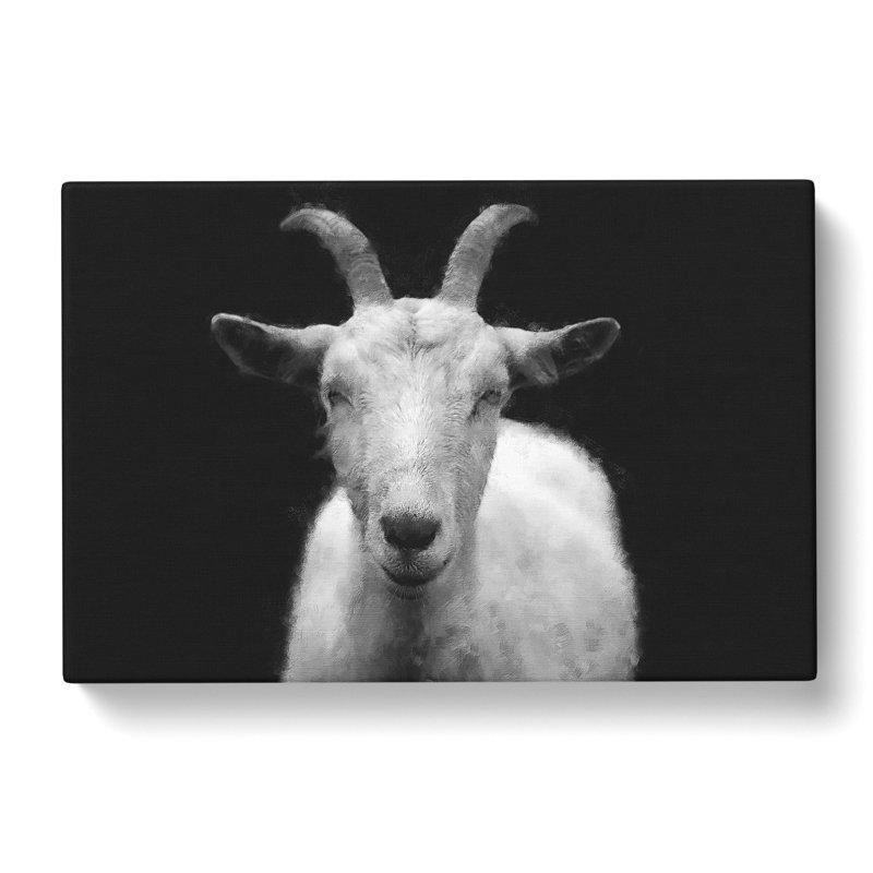 White Goat Vol.2 - Wrapped Canvas, 50cm H x 76cm W x 3cm D